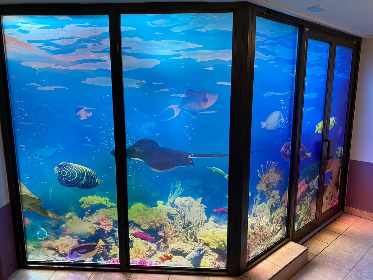 CreateCorridors's tweet image. Something pretty to brighten up your morning! 🐠🐟

New window graphics fitted at @Penn_Hall school which students will now see on their way to the swimming pool. As light comes through, it gives a really luminous, aquarium-type feel!🐡🐬

#schooldisplays #education #underthesea