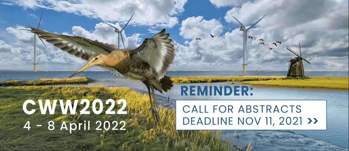 REMINDER Call for Abstract deadline November 11, 2021. You can choose to submit an abstract for:
- Special session, - Workshop, - Oral presentation, - Poster. 
We have selected seven themes. See CWW2022.org for more details. #CWW2022