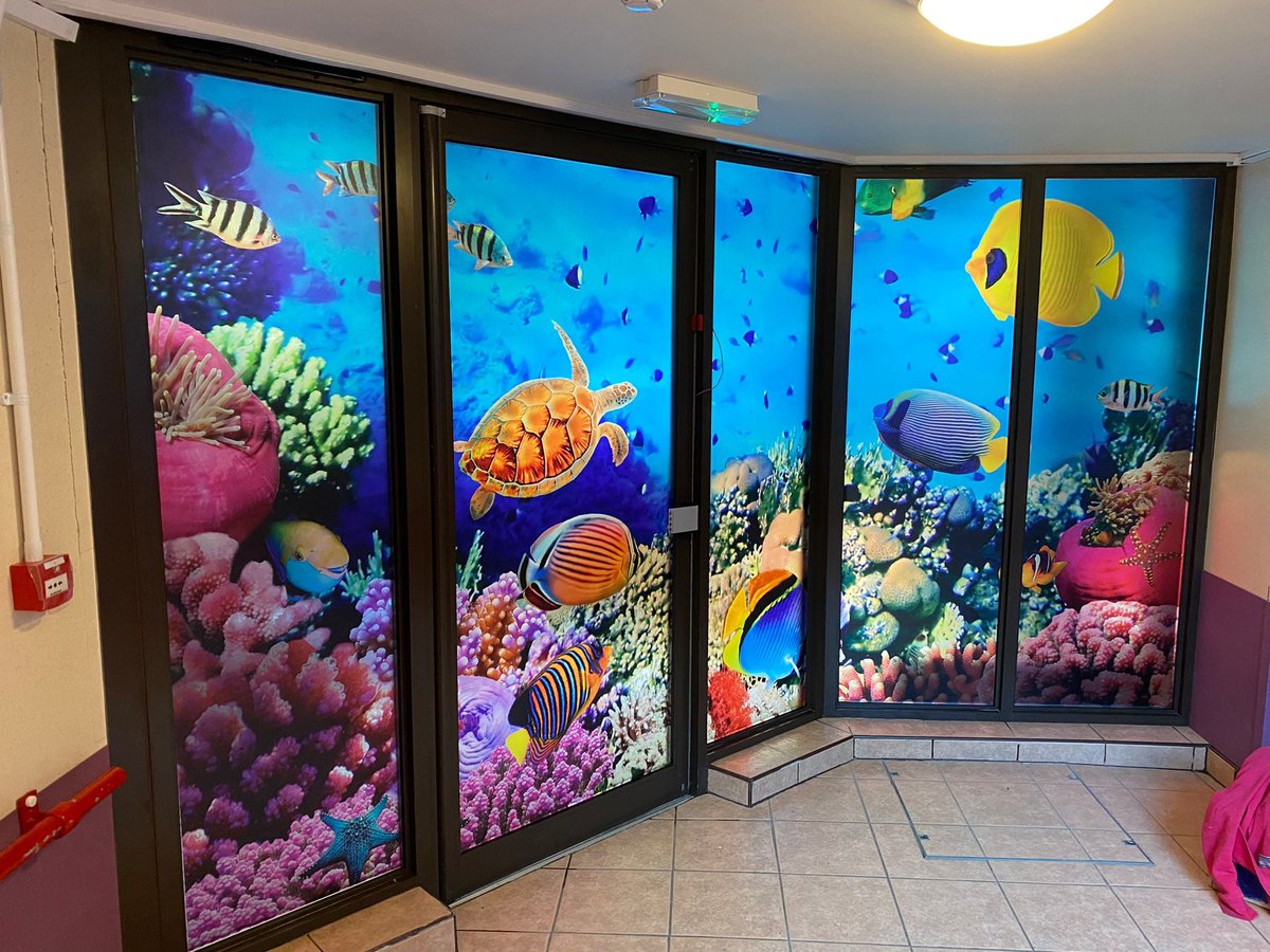 CreateCorridors's tweet image. Something pretty to brighten up your morning! 🐠🐟

New window graphics fitted at @Penn_Hall school which students will now see on their way to the swimming pool. As light comes through, it gives a really luminous, aquarium-type feel!🐡🐬

#schooldisplays #education #underthesea