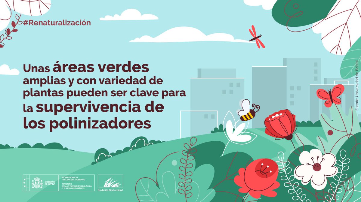 FBiodiversidad's tweet photo. Los #polinizadores 🐝 son ecológica y económicamente esenciales.

Más del 7⃣5⃣% de los tipos de cultivos alimentarios mundiales dependen de la polinización animal 🦋 

⚠️ Sin embargo, su número está descendiendo de forma alarmante.

#Renaturalización https://t.co/AzgoVr6Xtv