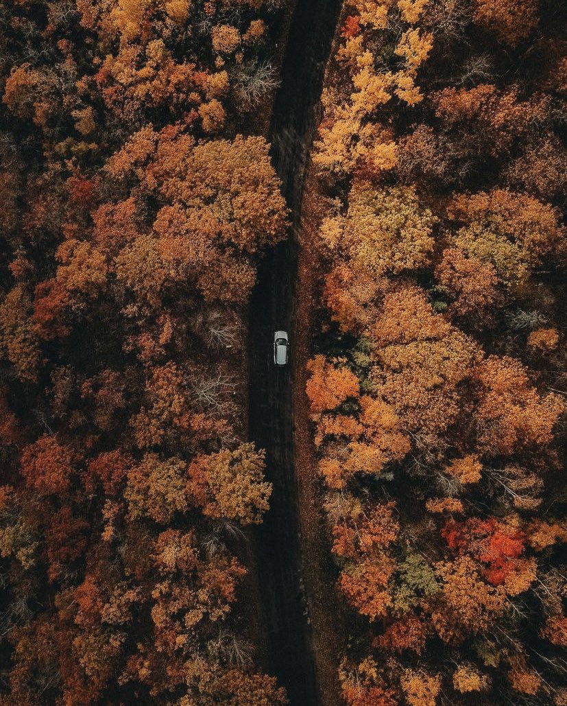 Autumn road trip 🍂