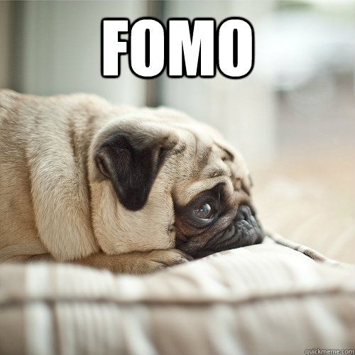 sad dog, FOMO