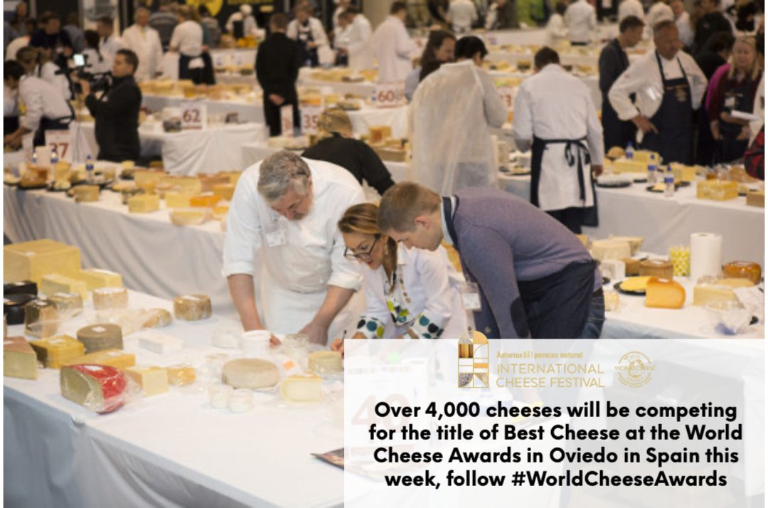 Oldways Cheese Coalition tweet media