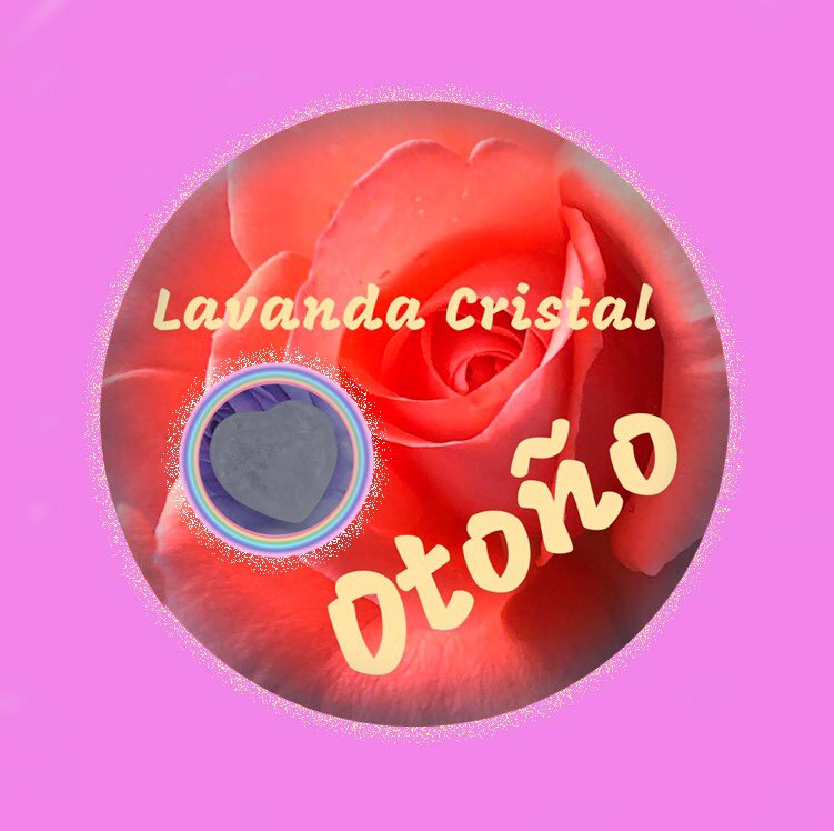 Noviembre un excelente mes para la meditación y la espiritualidad  lavandacristal.com