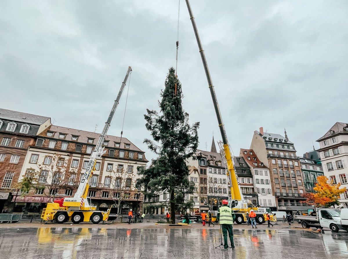 Le grand sapin est arrivé 🎄
Encore quelques branches, des kilomètres de guirlandes, des décorations magiques et il sera parfait pour le 26 novembre ✨

#Strasbourg #StrasbourgCapitaleDeNoel #VisitStrasbourg #StrasbourgTourisme