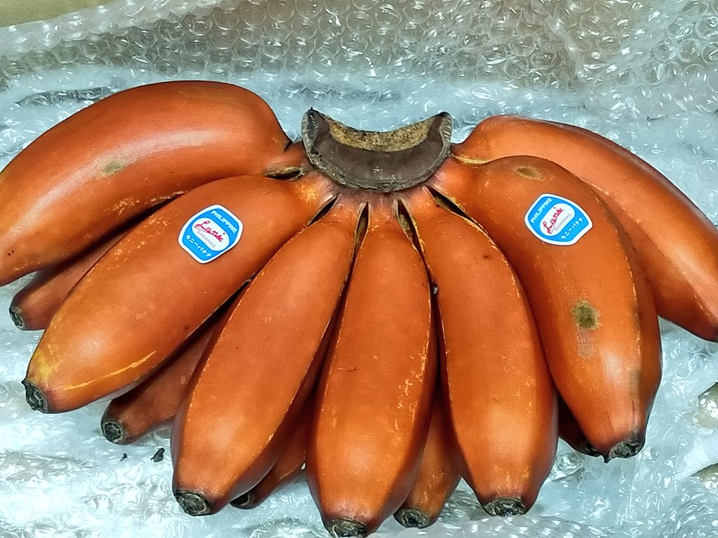 モラードバナナ Twitter Search Twitter