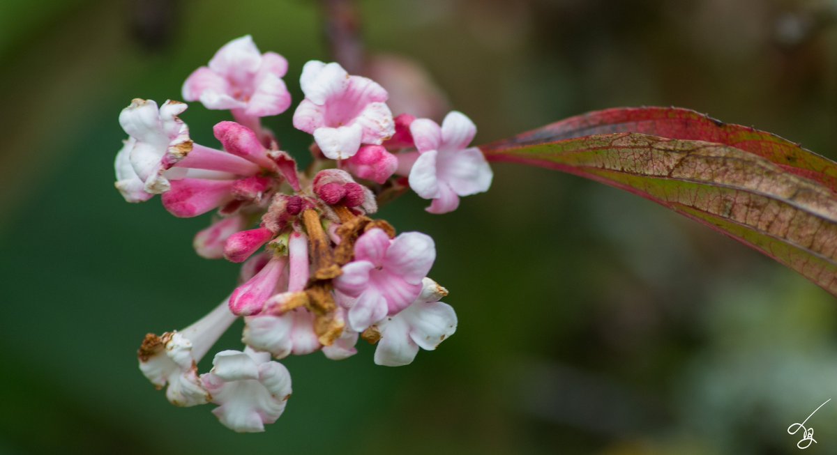 toril9photo📸 tweet media