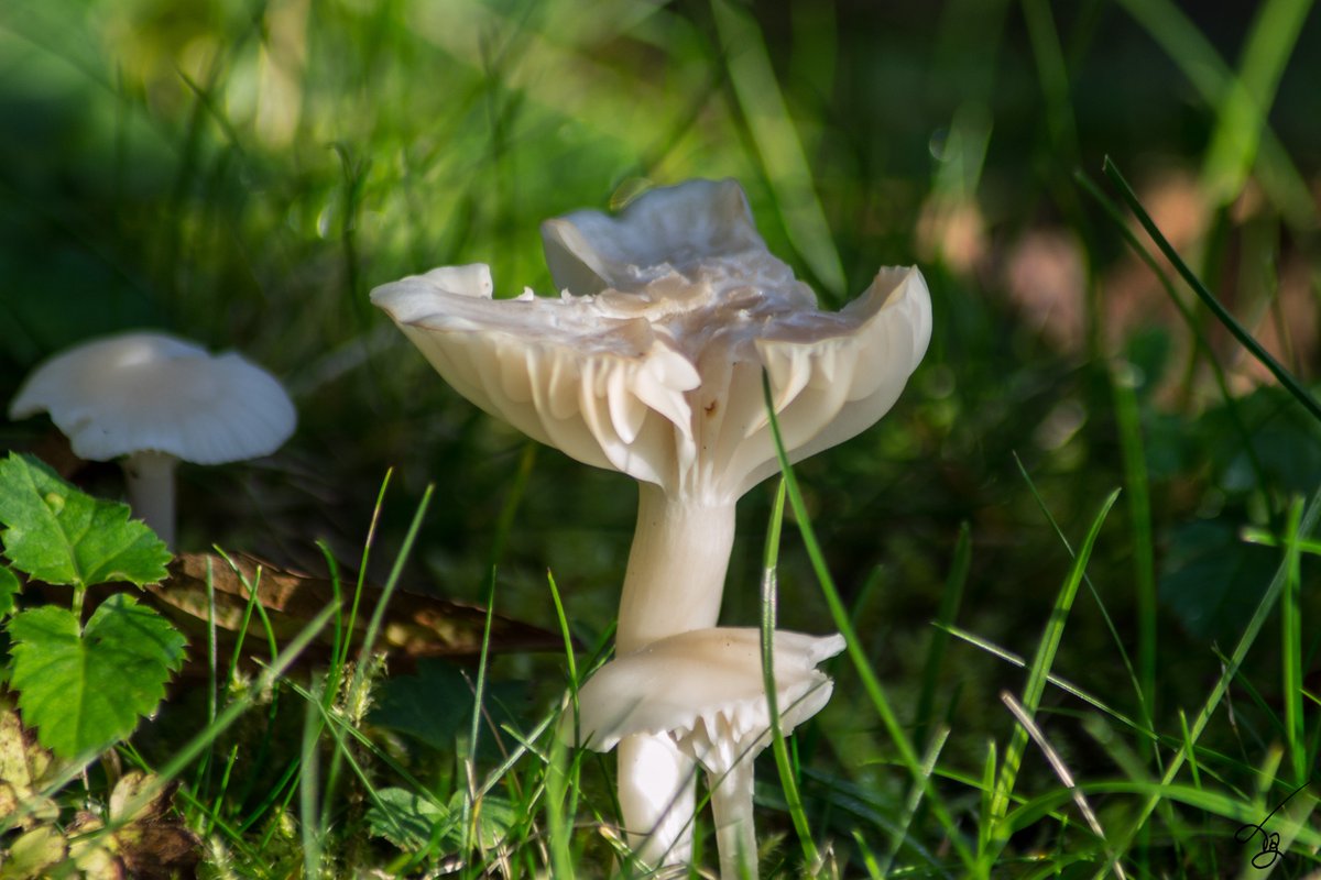 toril9photo📸 tweet media