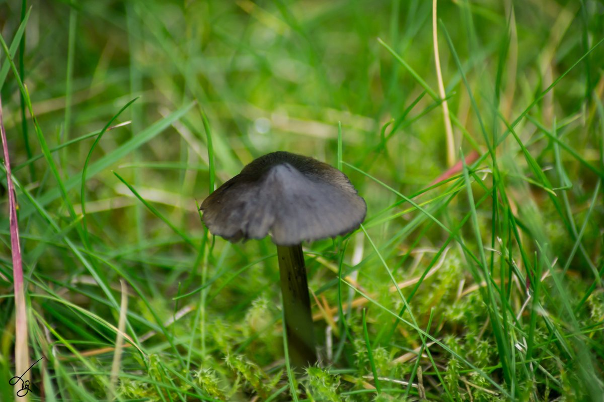 Good morning 🌸#HappyTuesday