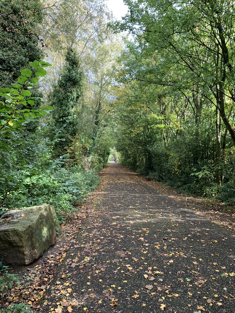 Andy1972_'s tweet image. It’s easy to enjoy running when the route looks like this. #loopline