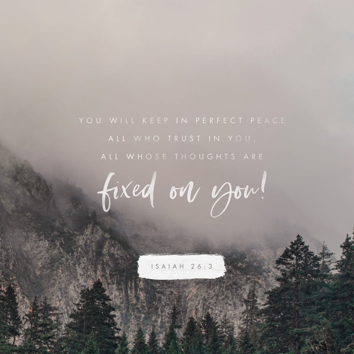 pahouseholder's tweet photo. #gotpeace https://t.co/BWrTpe93Sl https://t.co/0OTjZl1jR5