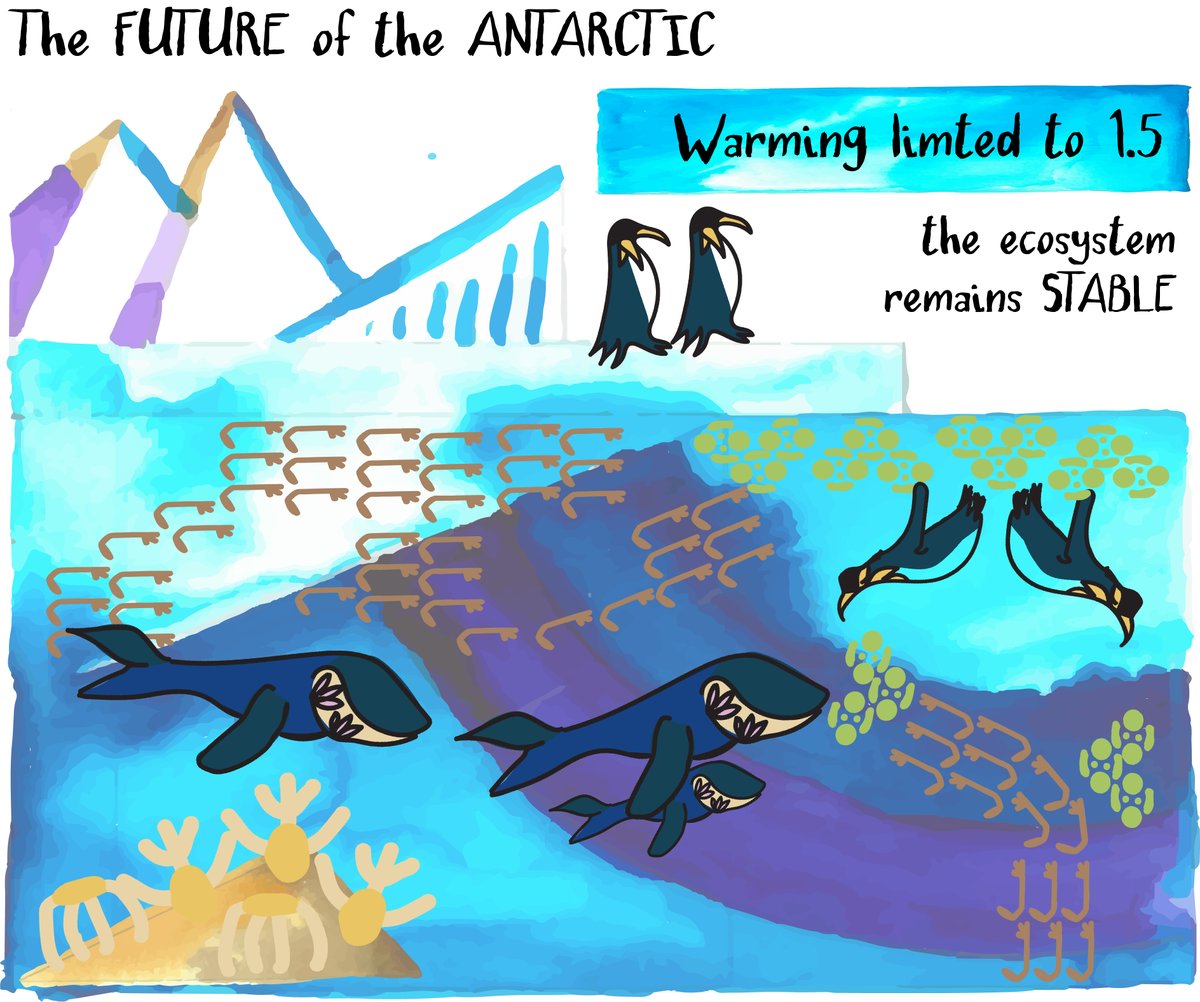 #ClimateAction needed at #COP26 is vital for #Antarctic marine #ecosystems. Keeping warming below 1.5 °C is the only way to keep #polar ecosystems stable. (illustrations by @eavbrennan) (1/6)