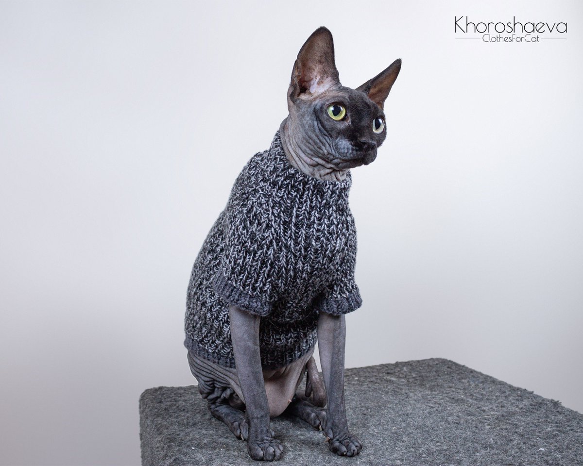 ClothesForCat's tweet photo. Excited to share the latest addition to my #etsy shop: Cat Seamless Sweater size L knitting pattern PDF + The pattern supplement, Sphynx designer sweater knitting pattern PDF https://t.co/RR1XYtY2yy #birthday #newyears #knitting #catpatternpdf #catseamlesssweater #catw https://t.co/J34RWrcDJt