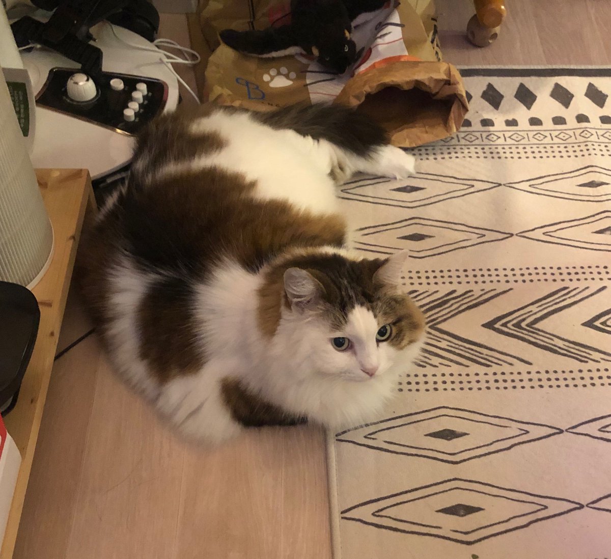 우주 선생의 담화문을 경청 중인 
지인이 모시는 멜론 선생.

둘은 같은 뜻을 가지고 있는듯하다.