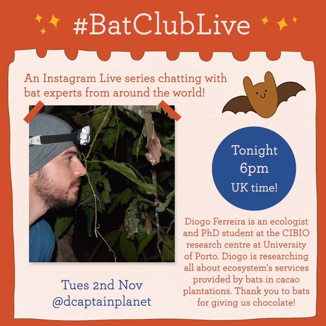 EmmaIllustrate's tweet photo. Excited to chat to @acaptainplanet tonight all about bats and chocolate! 🦇🍫☺❤
Join us at 6pm GMT on my instagram live @emmaillustrate!
Diogo Ferreira is an ecologist & PhD student researching all about ecosystem's services provided by bats in cacao plantations. #BatClubLive https://t.co/4g6cbTFS6Q