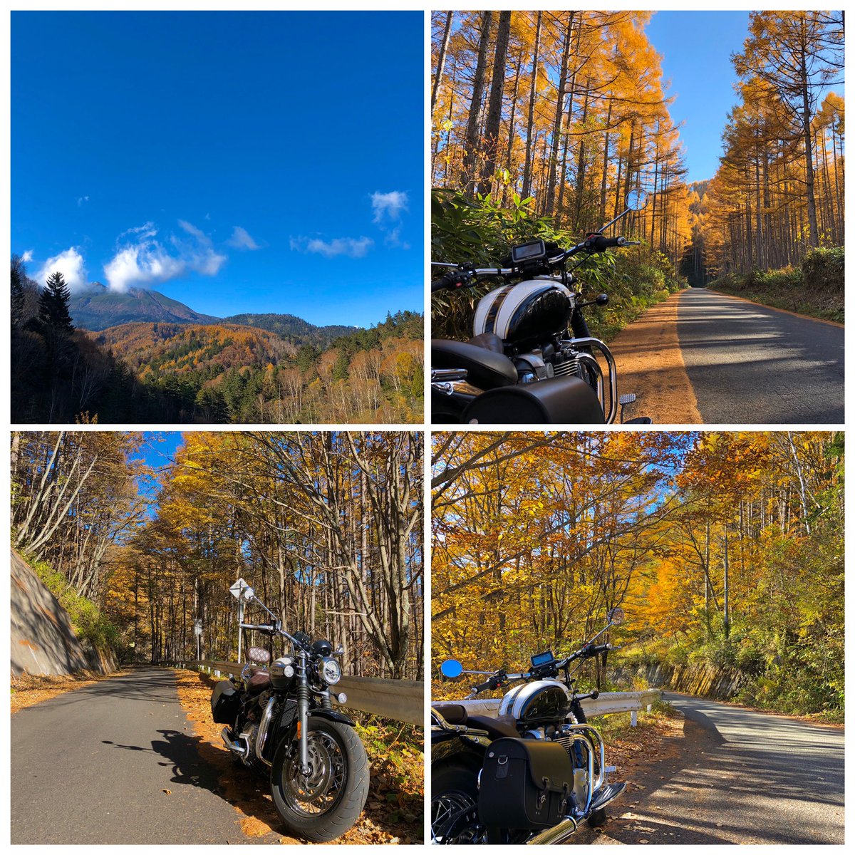 104KUNI's tweet photo. そろそろスクリーン付ける季節かな
#いい2気筒の日
#トライアンフ
#ボンネビルスピードマスター
#triumphspeedmaster https://t.co/ruShThQNrt