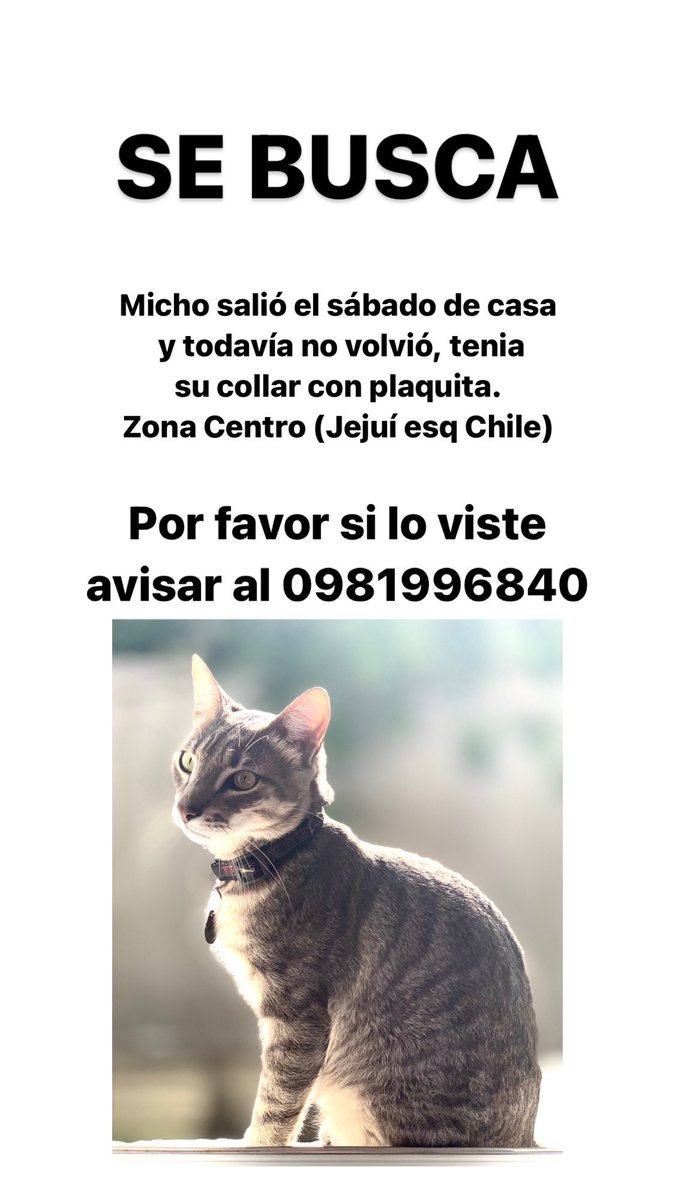 mpconstanza's tweet photo. @perdidospy por favor compartir 🙏🏼 https://t.co/RTlP7M9muh