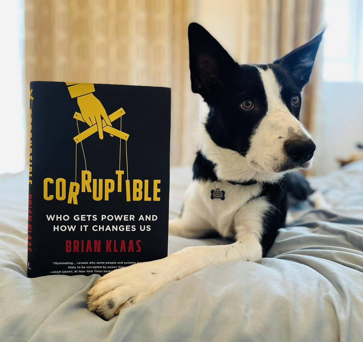 Today's episode includes an audiobook excerpt from Chapter 1 of CORRUPTIBLE: Who Gets Power and How It Changes Us, read by <a href="/brianklaas/">Brian Klaas</a>. Hope you enjoy it as much as Zorro, Brian's puppy, seemed to when he devoured it...
