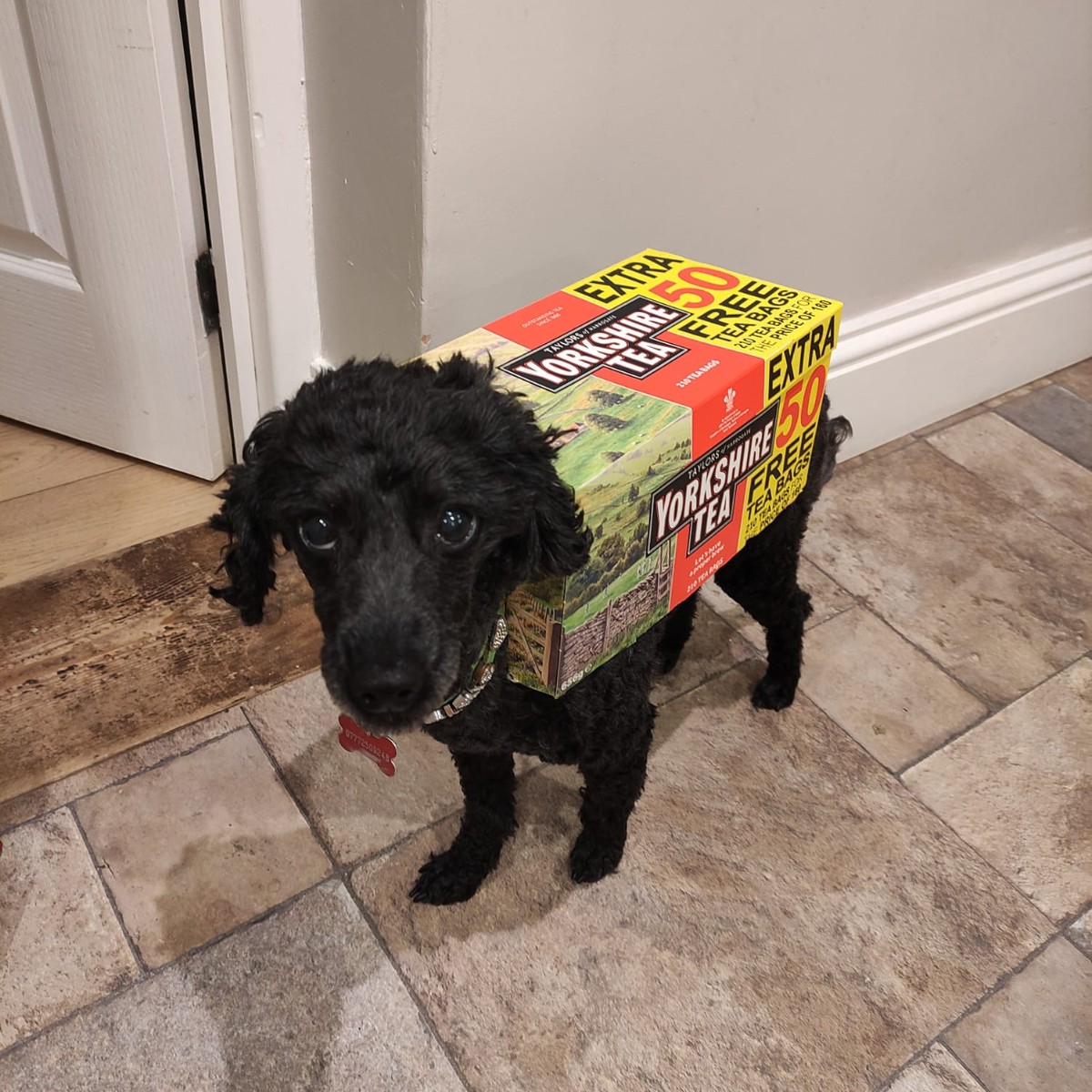 Yorkshire Tea tweet media