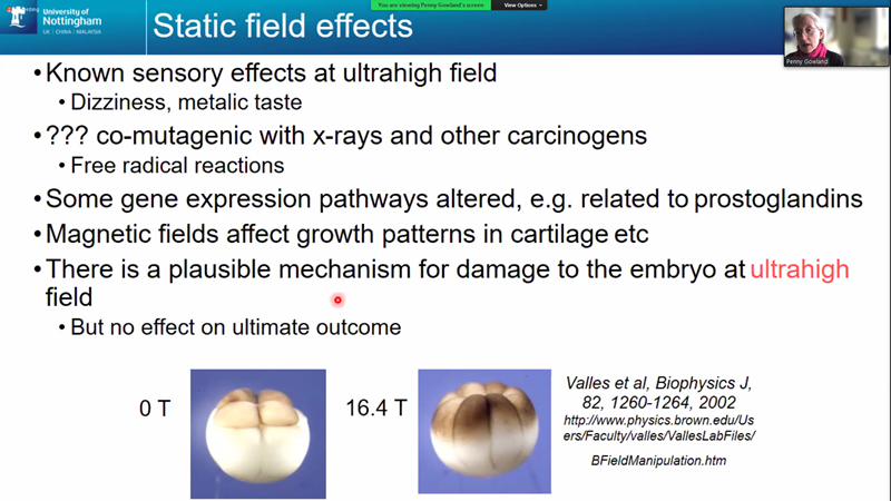 IPEM MR-SIG tweet media