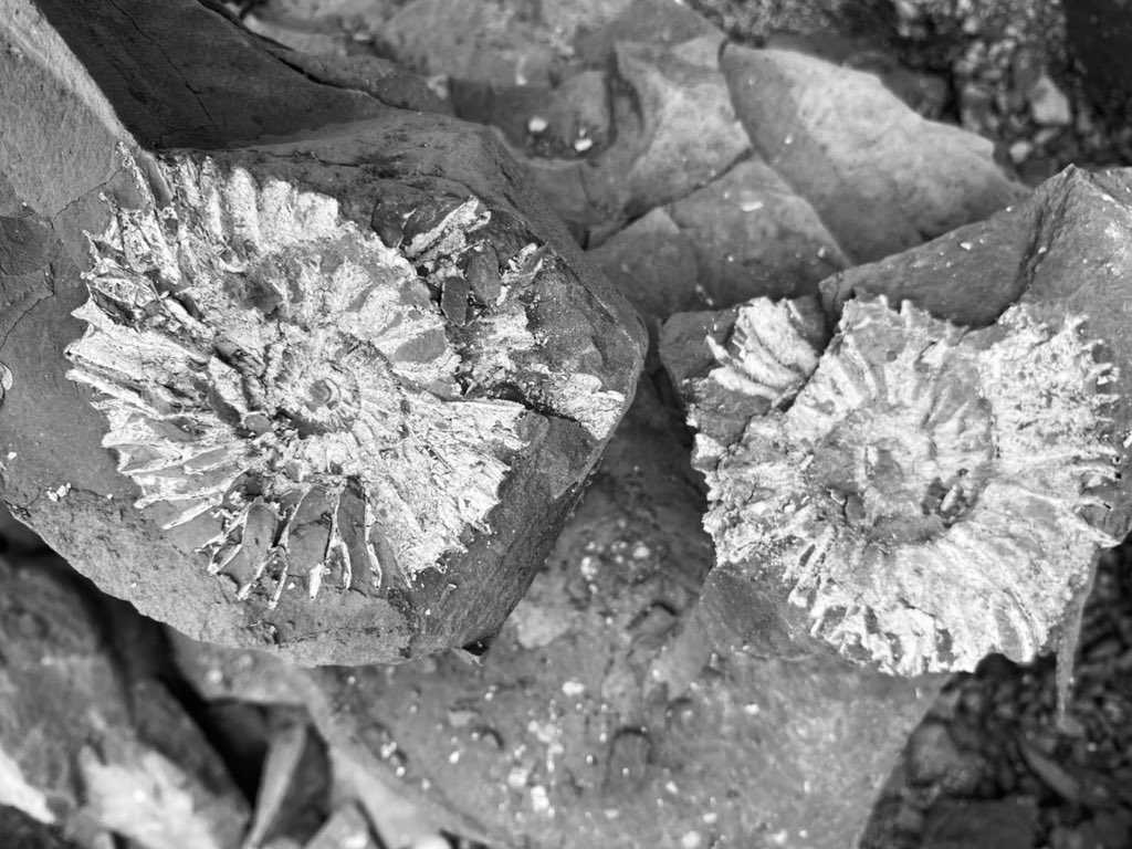 DINOSAUR HUNTING. Tiny sliver of my chocker block summer, now feeling full of inspiration for the new season as the nights draw in, time to get my head down and delve into some new creative projects. Enjoy watching the leaves turn guys #summer #love #family #friends #beach