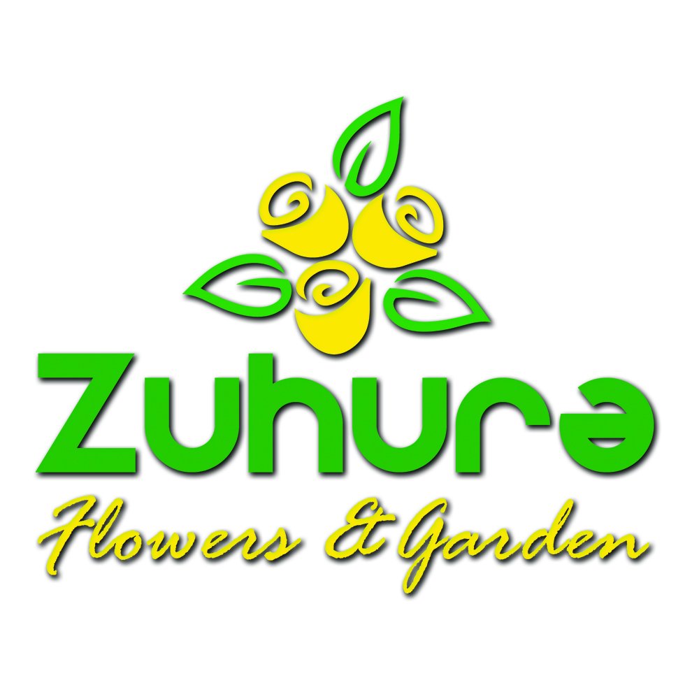 Faustin00880's tweet photo. Logo design showcase
Client: zuhura
Business: Flowers&amp;garden
Location: Massana

Please A or B  🙏🙏 https://t.co/WYQ16ZETOQ