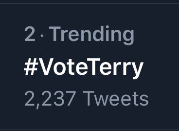 Meidas_Murai's tweet photo. Let’s Keep #VoteTerry trending all day https://t.co/PG3eDFBNFR