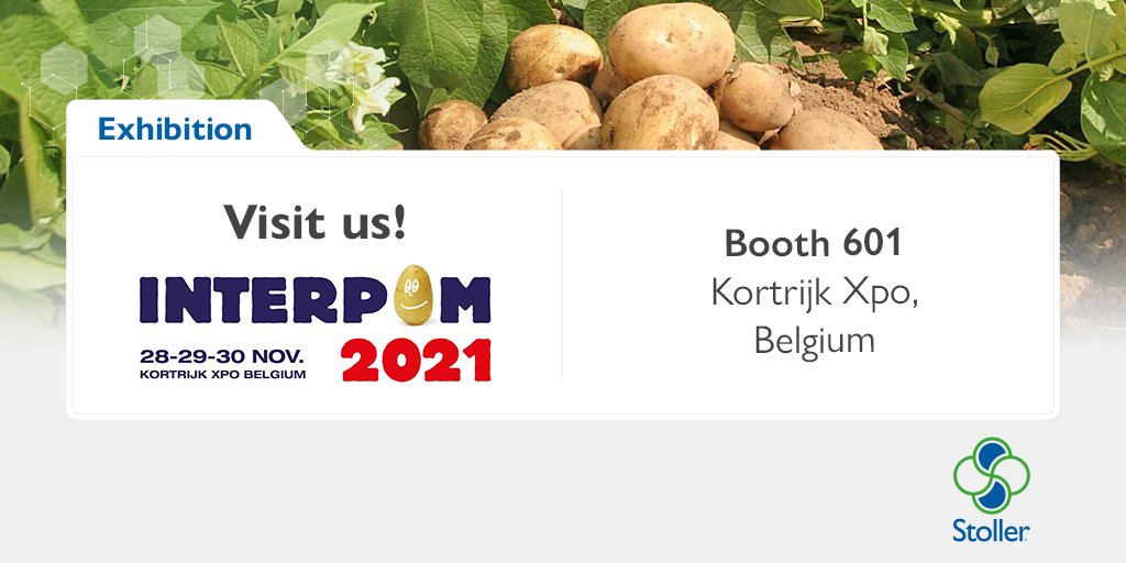 StollerEurope's tweet image. 🥔 Stoller Europe participará en @Interpom2021, la feria cubierta más especializada en el sector de la patata de Europa, del 28 al 30 de noviembre de 2021 en Bélgica.

✅¡Visítanos en el Stand 601 y descubre las #SolucionesStoller para patata!

 #ThisIsStoller #StollerTechnology