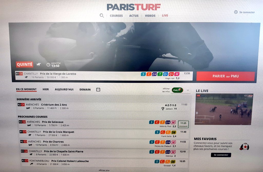 Clemty 🏇 tweet media