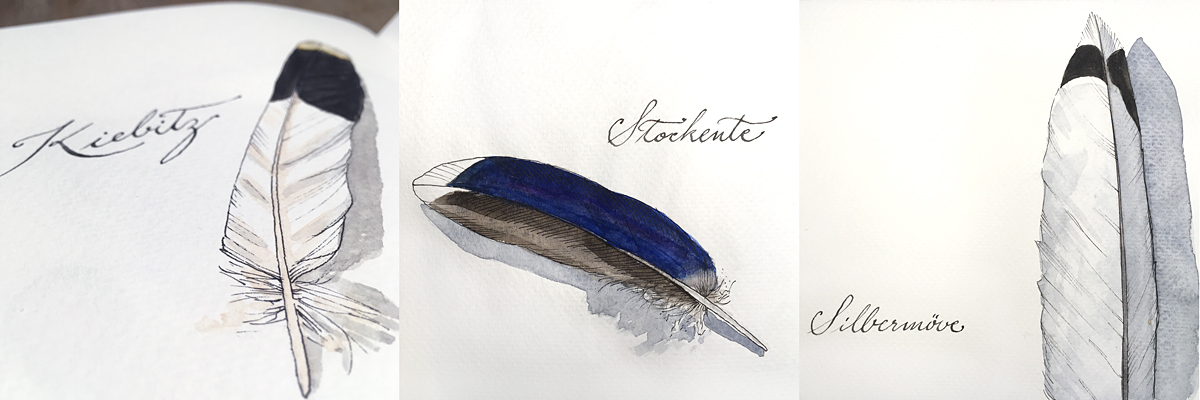 So lief der #Inktober2021 bei mir: deichgrafikerin.de/2021/11/inktob…