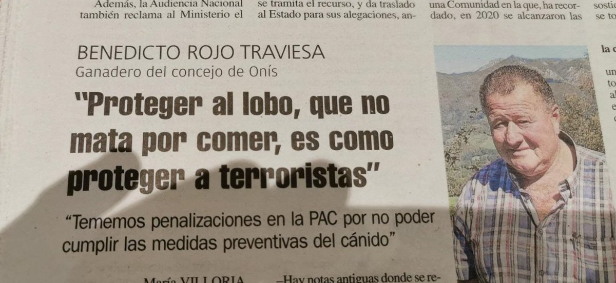 Jorge Amat Claro tweet media