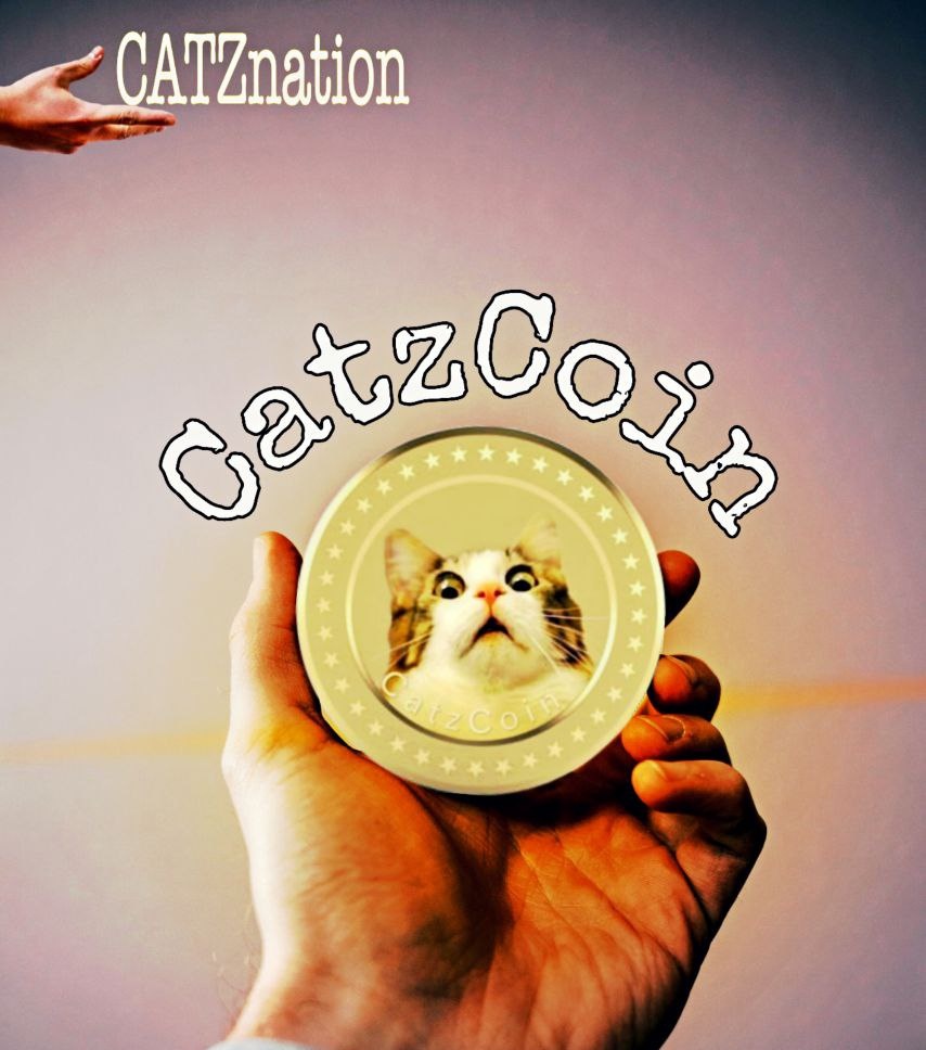 @CatzCoin now is time for the cat lovers! #cryptolover #cryptocurrency #CatzCoin 🚀