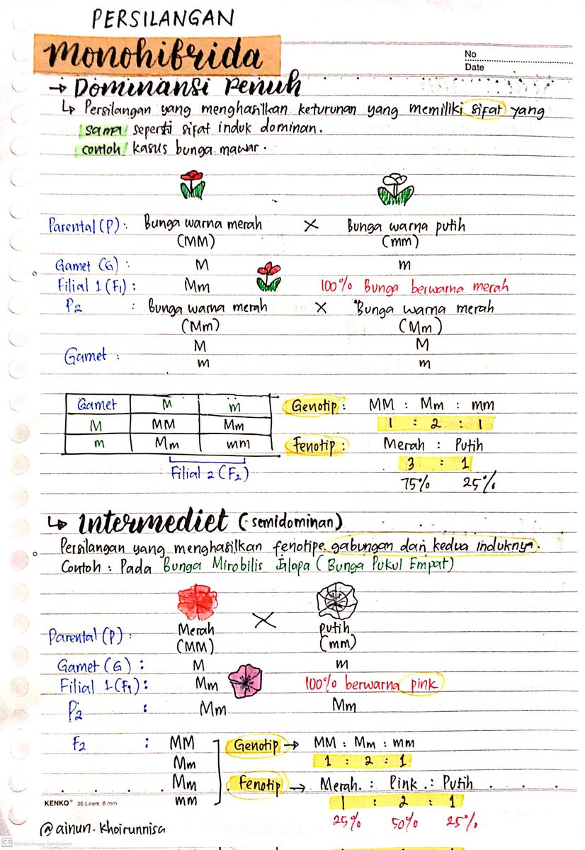 tobedaebakk's tweet photo. ✨• POLA PEWARISAN SIFAT PADA HUKUM MENDEL DAN PENYIMPANGANNYA •✨
--> Rangkuman dan catatan
--> Sumber : Buku paket (Karya tiga serangkai), Ruang guru, Buku les, google, dan Twitter. 

#biologi #biologikelas12 #hukummendel #pejuangptn #utbk2022 #studytwt 

— Bagian 1 — https://t.co/77hCbAsLui
