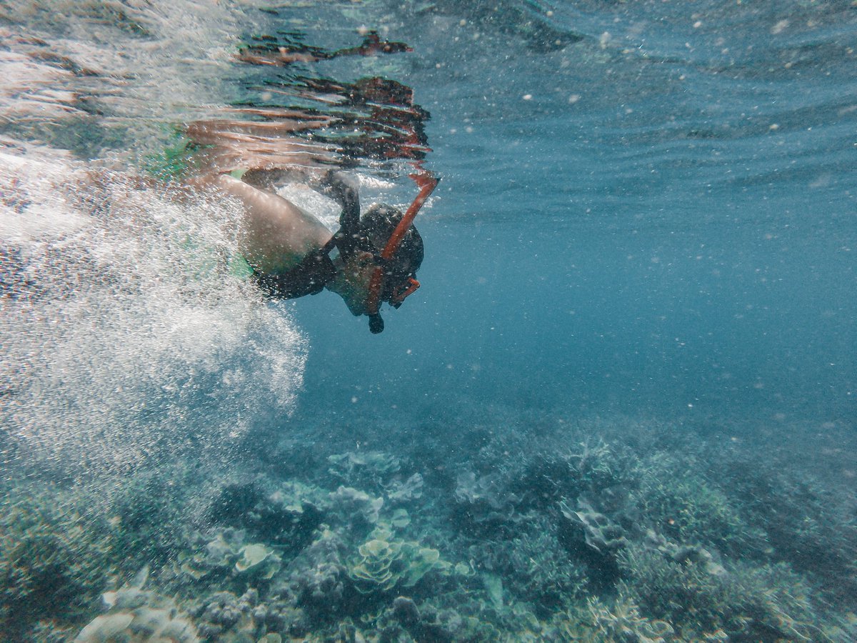 amrizaljs's tweet photo. Setelah dua tahun bisa snorkling lagi, sejompo itu harus pake pelampung 🤣🤣🤣 https://t.co/98TASI2KAq