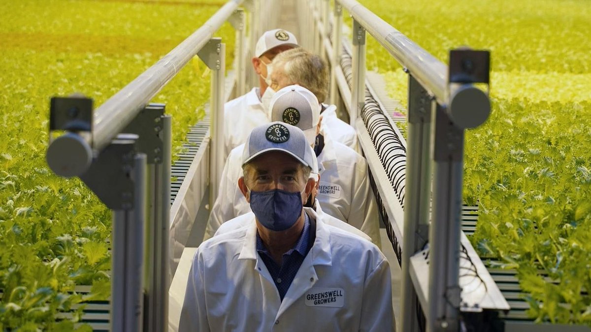 We would like to congratulate our client @greenswellgrow1 with the opening of their first ever Indoor Leafy Greens grow location! We wish you all the best with your new location for locally grown, fresh greens!  
#jasapackagingsolutions #leafygreens #sustainablepackaging