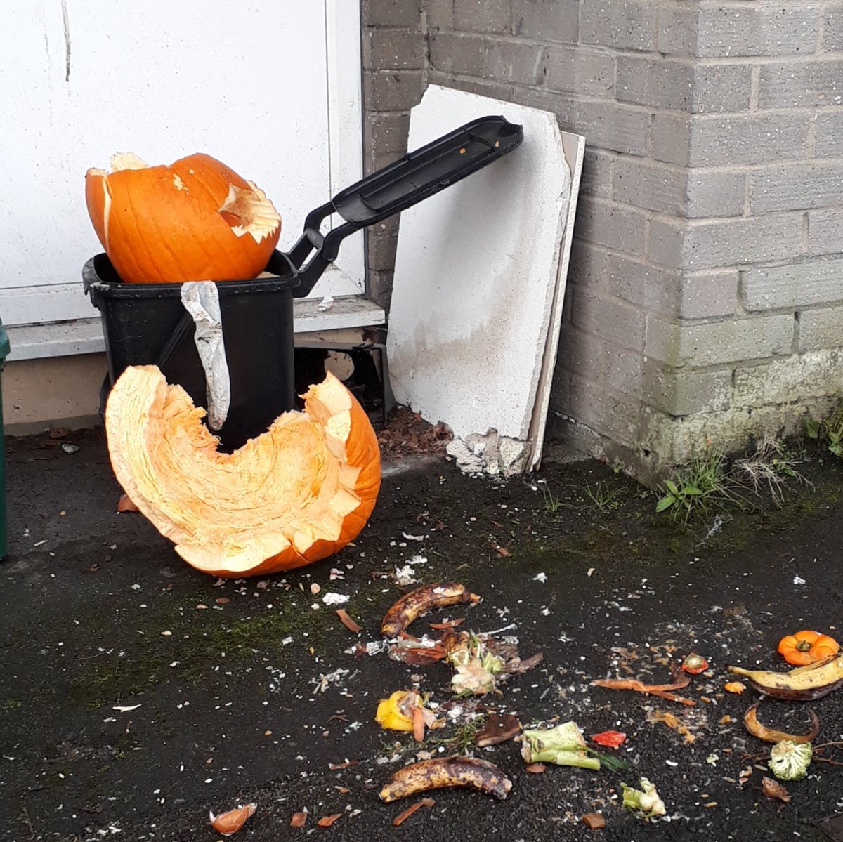 Bellpex_Park's tweet photo. Now that's what I call scary: expecting @bathnes food waste #recycling to deal with this horror https://t.co/C4daLsGfhn