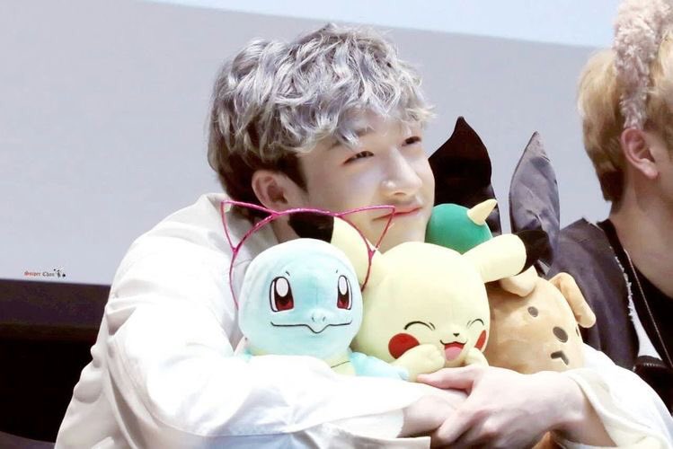 игрушка stray kids вулф чан. игрушка бан чана. игрушка бан чана. мягкие игрушки stray kids. игрушка бан чана.