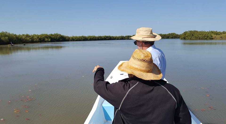 #COP26 
La 🇫🇷 a pris l’engagement qu’en 2030, 30% de ses financements climat bilatéraux présenteront des bénéfices pour la biodiversité.
<a href="/FranceoSenegal/">France au Sénégal 🇫🇷🇪🇺</a> soutient la reforestation des mangroves en zone humide au 🇸🇳, en partenariat avec des ONG comme <a href="/NebedaySenegal/">💫Nebeday 🌱♻️</a> &amp; <a href="/SOS_SAHEL_/">SOS SAHEL</a>.
