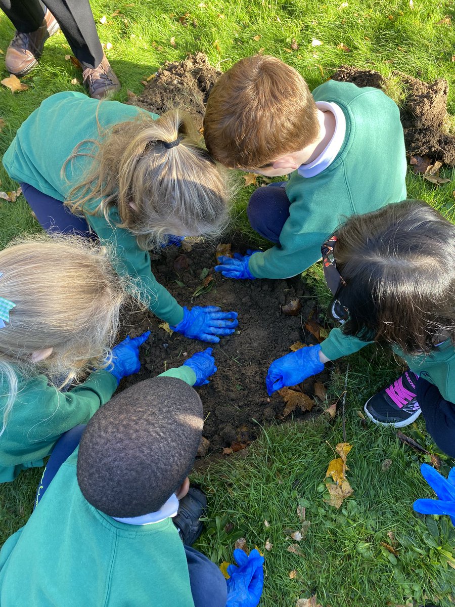 svdp_school's tweet photo. Our Children were excited to join with @StevenageBC Lady Mayor, @TheRedShedHerts and @ClubStevenage to mark World Polio day by planting many beautiful purple crocus bulbs #RotaryCrocus https://t.co/GLCPTrQWba
