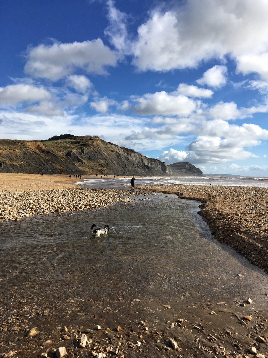 Nick_Chant's tweet photo. Southwest Coastal Path #dorset #dorsetcoast #goldencap #charmouth #charmouthbeach #seascape #southwestcoastpath #iPhonephotography #autumn #clouds #dogwalk https://t.co/q4nrHbu8Gq