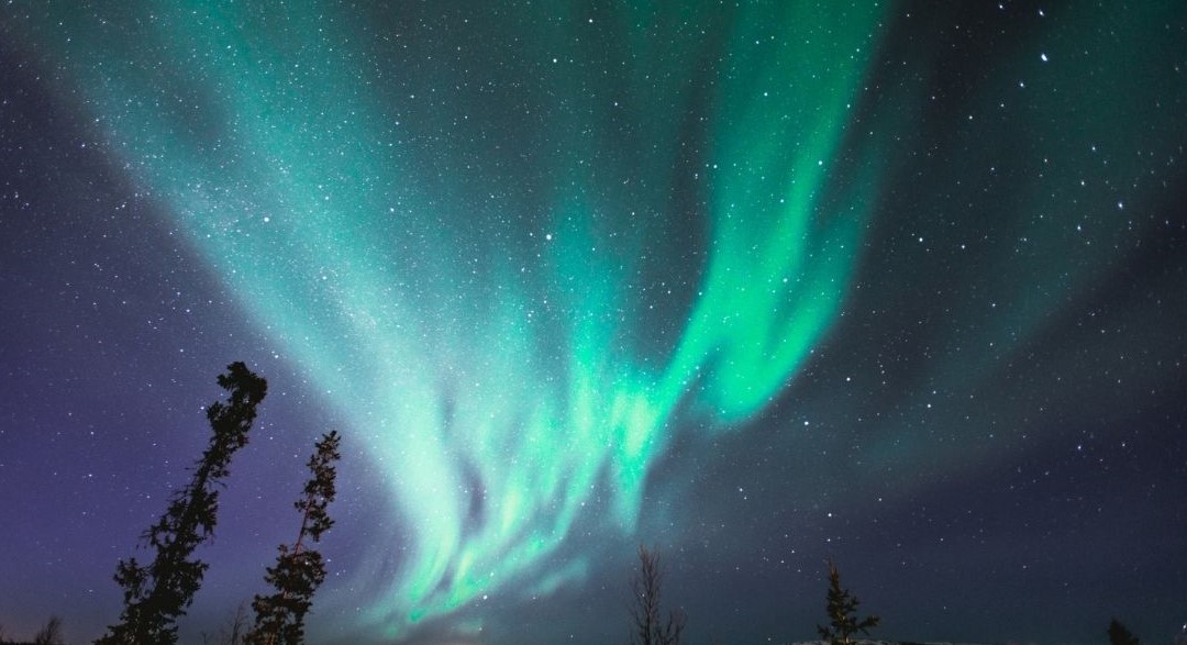 Voluntary Action Orkney tweet media