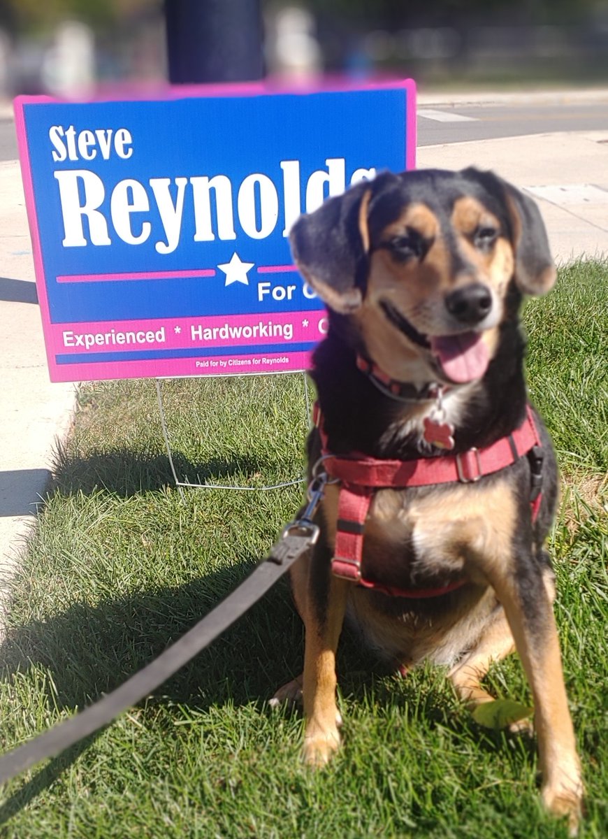 Reynolds4GH's tweet photo. With the expected light voter turn-out for the "off year" election, ***YOUR VOTE makes even more of a difference!!***  
**THANK YOU to everyone who has supported my effort to return to city council!!  If you have not already cast your ballot, please make the time to vote today!! https://t.co/xvenhqeeKp