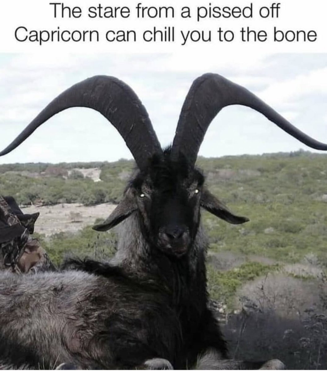 𓃵 (@capricornluvvv) on Twitter photo 