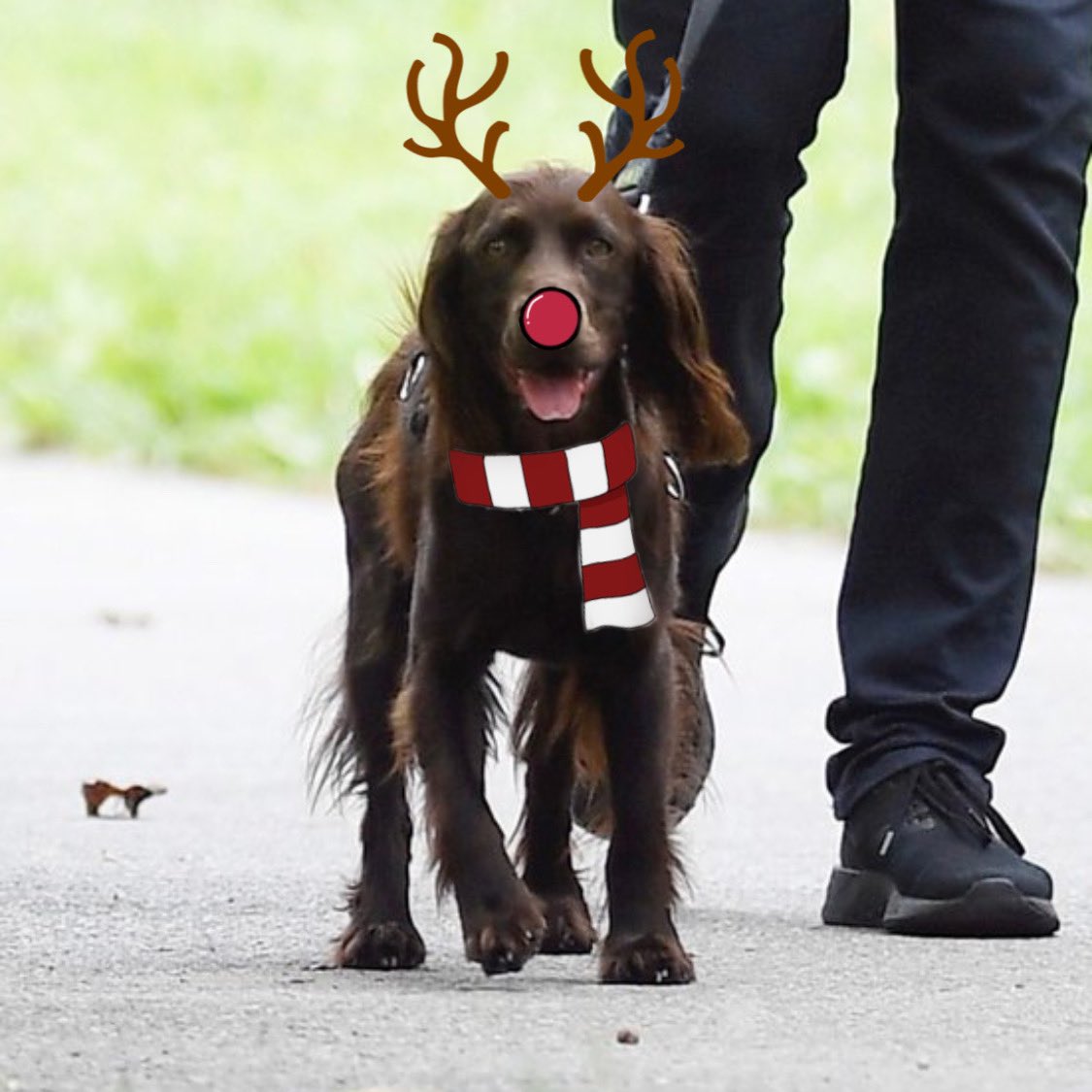 bobbyhiddles's tweet image. 