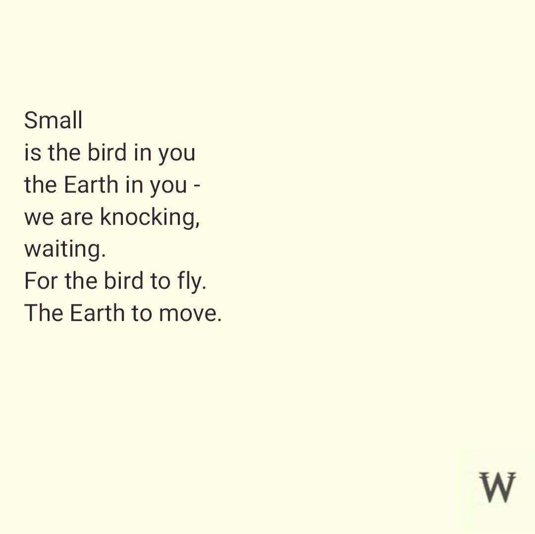 Words for when tweet media