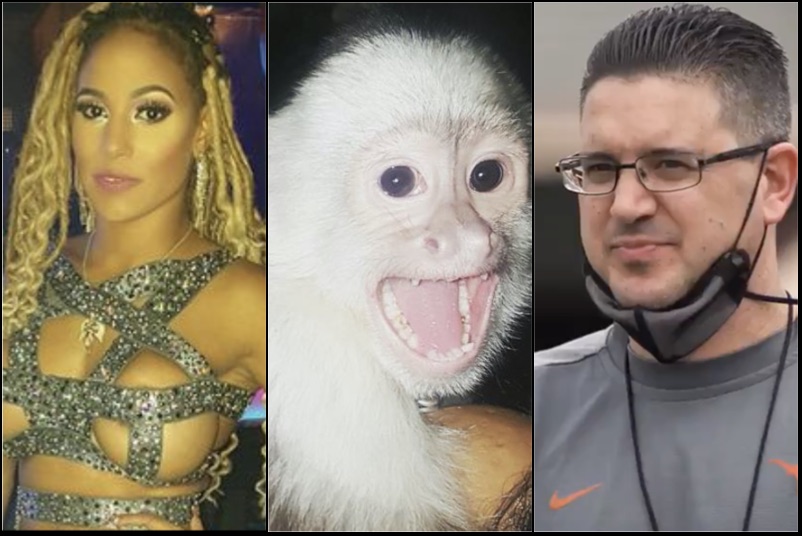 BSO's tweet photo. Texas Asst Coach Jeff Banks Fell in Love With a Stripper Named "Pole Assassin" & Took Her and Her Monkey Gia Out of The Game; The Monkey Bit a Kid on Halloween & Now Ms. Assassin and Banks' Love Story Has Been Revealed (Pole Dancing-Jerry Springer Vids) https://t.co/mHYsuoYToV https://t.co/8TWzHviyZf