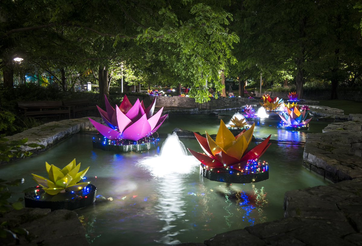 RBFloralDesign's tweet photo. We had the pleasure of installing Diwali decorations at Jubilee Park fountain last night.

It’s there until Sunday if anyone pops down give us a tag in your photos 😃

Thank you @chillsbodyworks for helping us source the paint.

#canarywharf #canarywharfdiwali 
#diwali https://t.co/VJYGMd7cgV