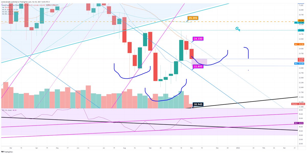 Julia Cordova✨ tweet media