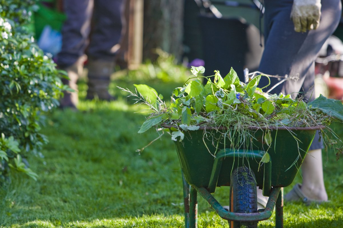 miramonte_homes's tweet photo. A lot of people have been putting more time into gardening lately. Don't let your hard work go to waste with colder temperatures on the way. https://t.co/4MOqFQjaDU

#gardening #seasonal #backyard https://t.co/bPfvm8Zzwk