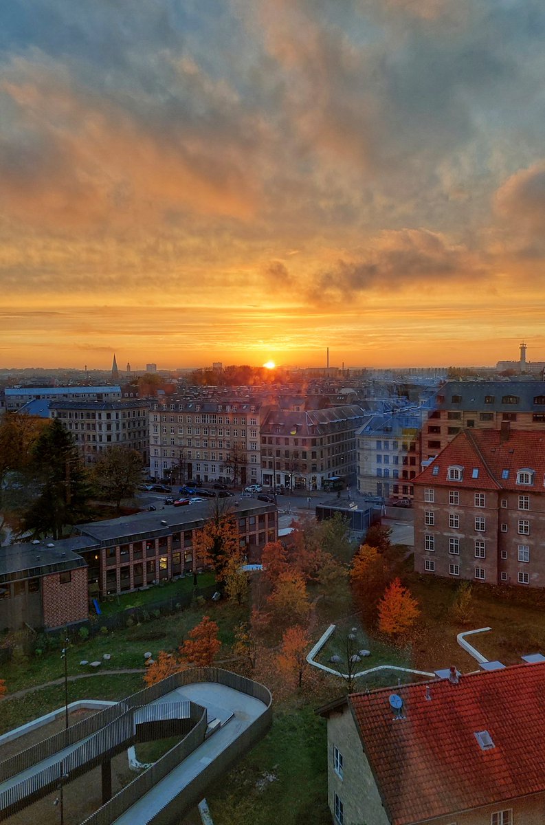 gil_claudia8's tweet photo. Autumn colors at @Metabolcenter 🍁🍂 
Always a pleasure to work with this view #labwork #sunsetphotography
@UCPH_health https://t.co/v8fsZGVWf3
